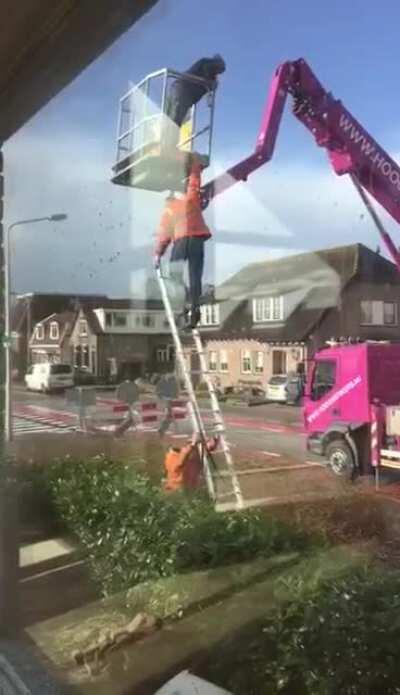 WCGW climbing down a ladder