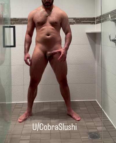 31 Male Las Vegas Bull