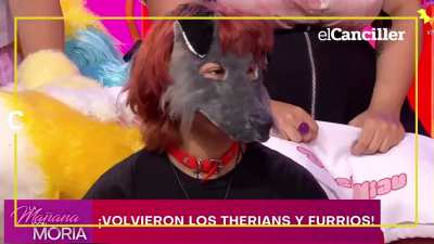 Eran fake news!