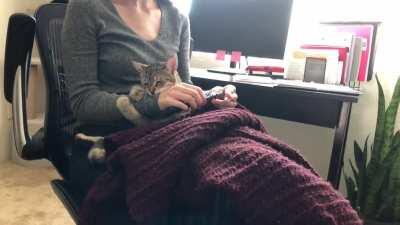 Beans is opposed to crocheting