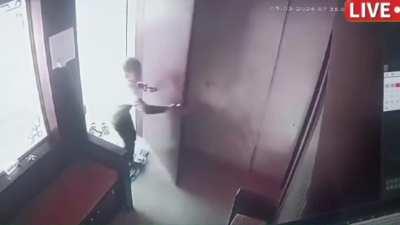 Boy keeps his composure and smoothly locks the leopard in the room