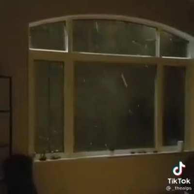 Looks like it could be a few kph.