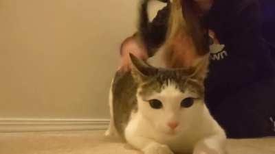 This is Pharaoh, but today he's CleoSlaptra