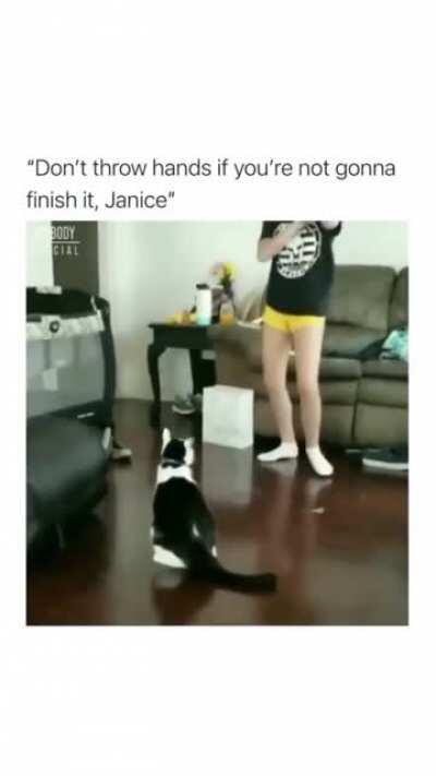 Cats stupidness has also a nice feeling..