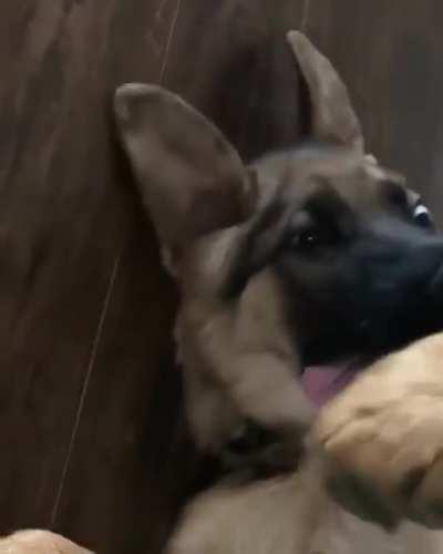 She is beauty, she is grace