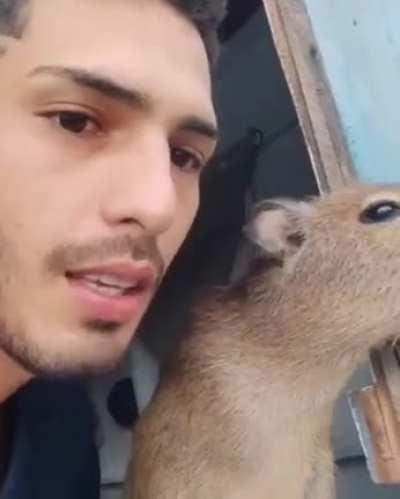 Chad and his Capybara