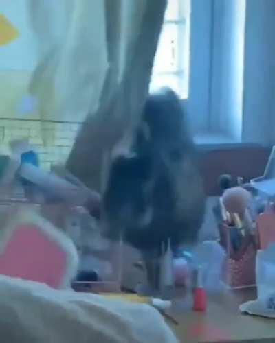 sounds as tumultuous as it looks