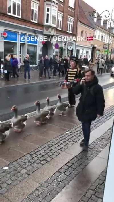 The best parade ever!