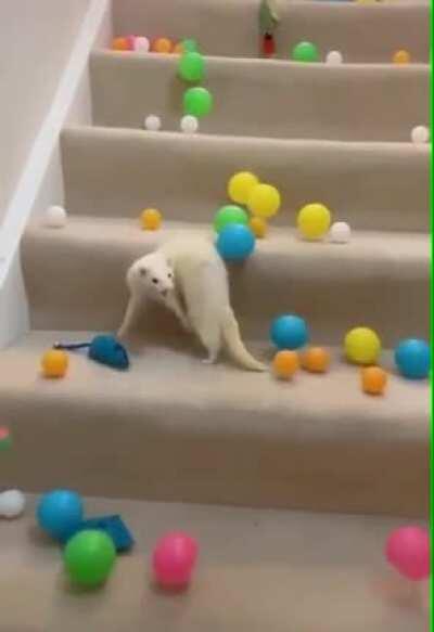 Dude Lost It (Originally posted on r/funny, with terrible music)