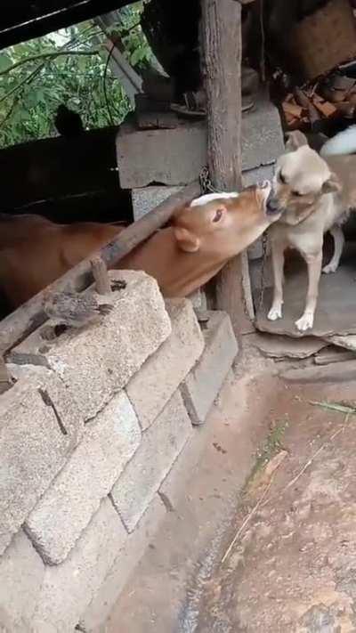 Cross boundary love!