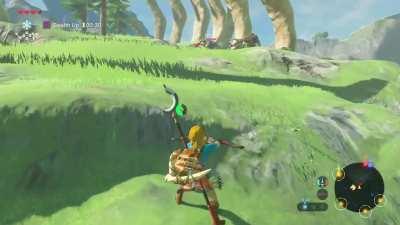 [BotW] I am so good at this game 