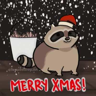 Merry Xmas fellow raccoon lovers