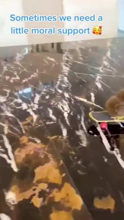 The skateboarding champions