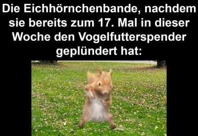 ich🐿️iel