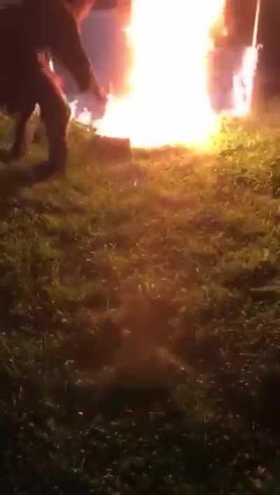 Два друга проводят «интеллектуальные» встречи на открытом воздухе