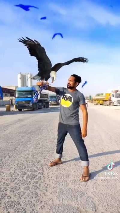 yeni versiyon gelmis