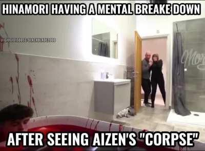 THE SOUL SOCIETY ARC IN A NUTSHELL [MEME COMPILATION.]