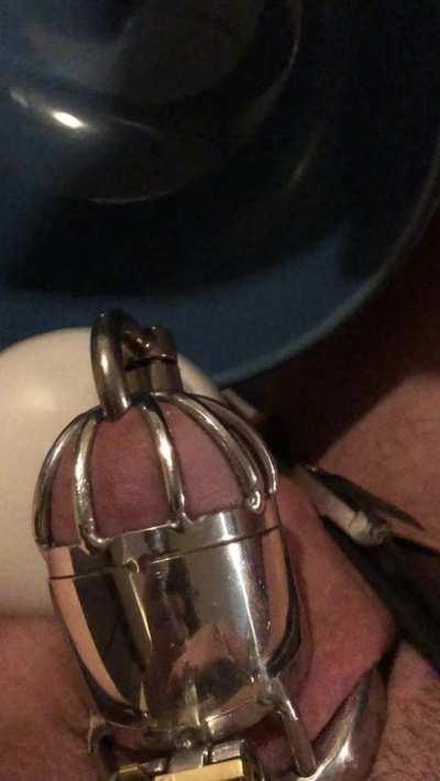 Tied up with a vibrator on my cage while my pregnant girlfriend rides his cock