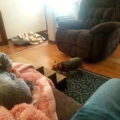 New episode of will lacy use the stairs