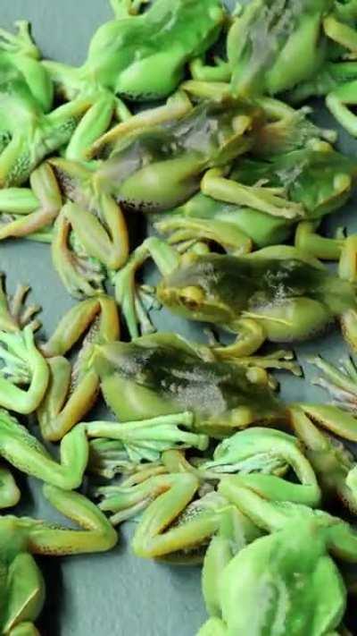 Froggy don't Jiggle Jiggle 🐸