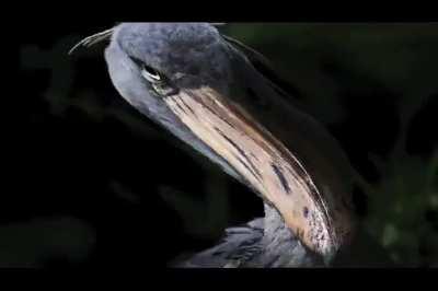 jim lahey fa ll ssss