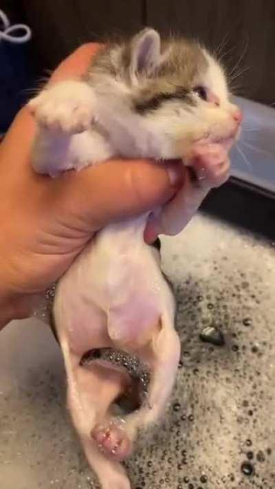 Both time for Smol group of criminals