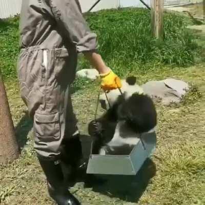 When Henry takes Jeannie to the park!