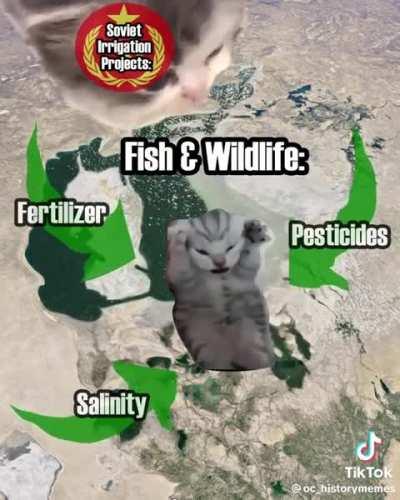 Aral sea by @oc_historymemes