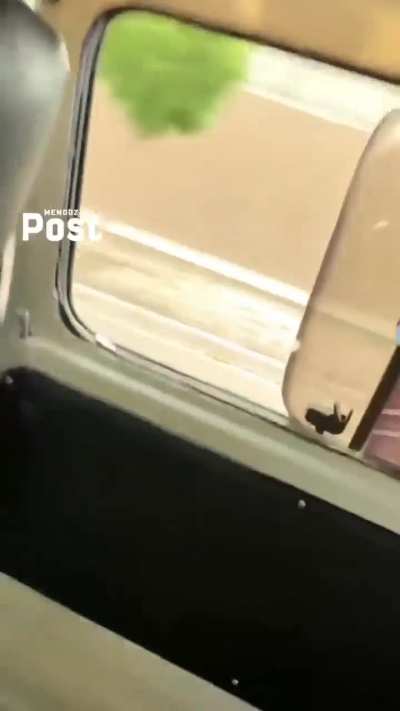 Mendoza: manejando por la vereda