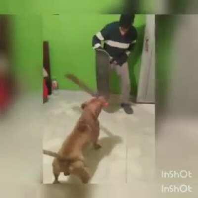 WCQR if u give a dog a machete