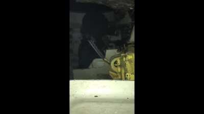 Take your wife to work day: Woman in a tank