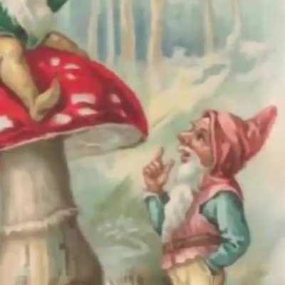 Fungos e esquizofrenia