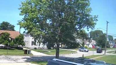 Stop sign? What stop sign?