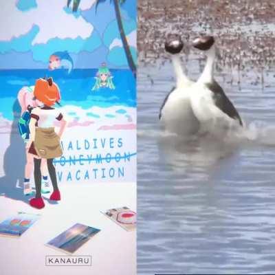 kiara requested this, enjoy