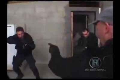 Insurrectoinsts attempting to fight the UNSC