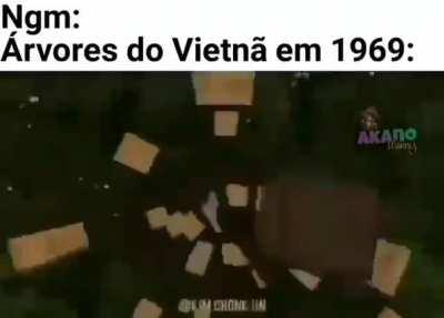Cá bommm