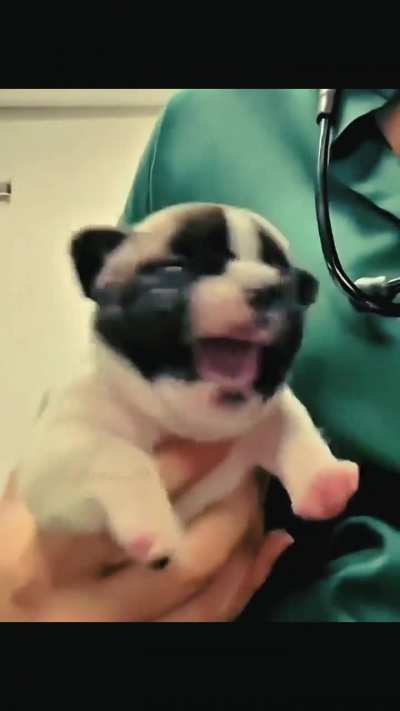 Loosercity TF2 referance