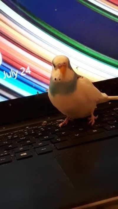 Gatsby is TALKATIVE! Btw, 