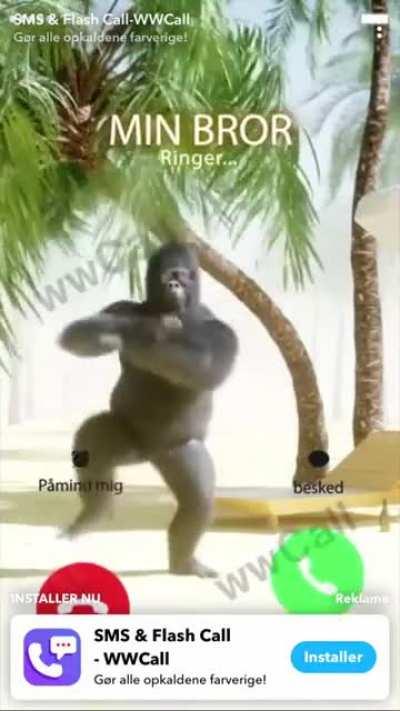 MIN BROR IS CALLING ANSWER!!11