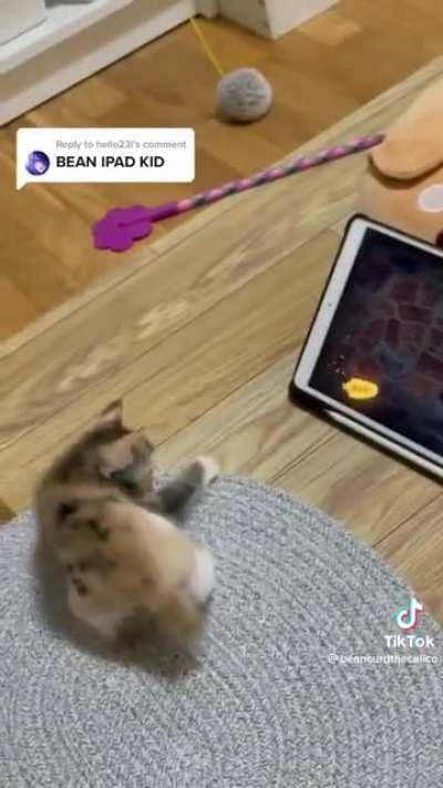 Graceful hunting practice