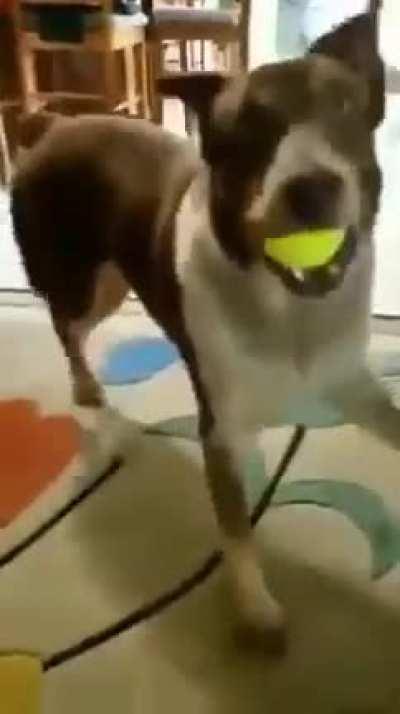 Are you not impressed?