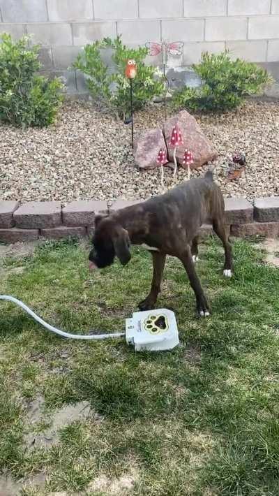 Thought Y’all Would Enjoy