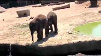 The cutest little jerk.