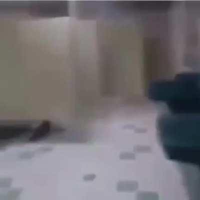 Taco bell didn&rsquo;t hit that well