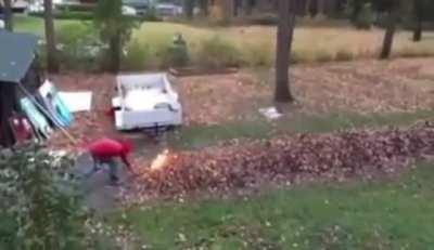 Scorch mains when they see something move: