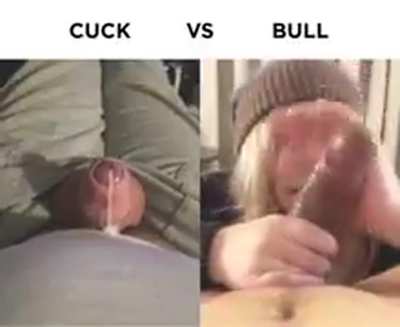 CUCK VS BULL
