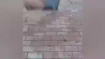 The actual voice actor of Garcello tweeted this