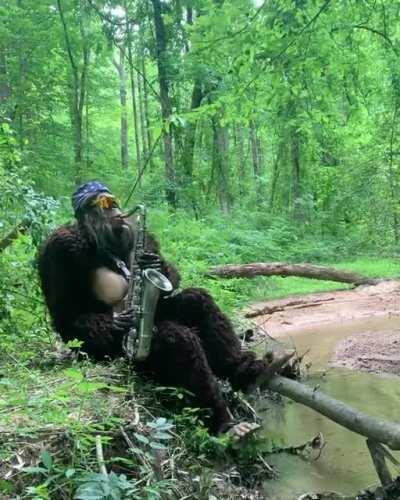 Não perturbe, o muca está a tocar 😥.