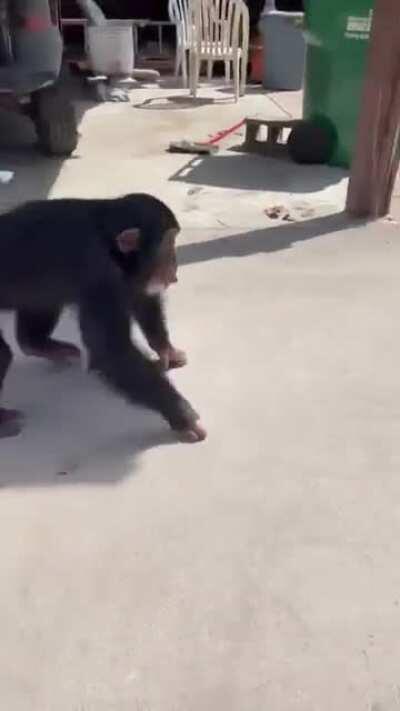 My parents congratulating me after I finally get rich off GME stocks