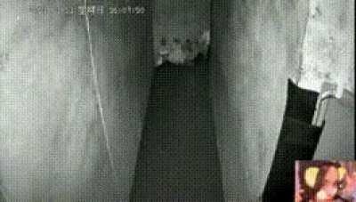 爷似蝙蝠淫，噫嘻嘻嘻